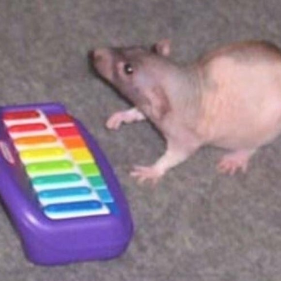 Meet your Posher, Rebecca - Picture 1 of 1